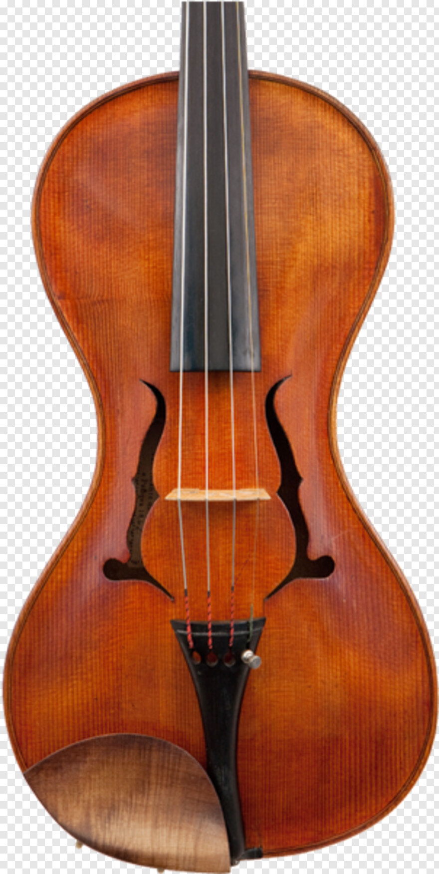 violin # 396900