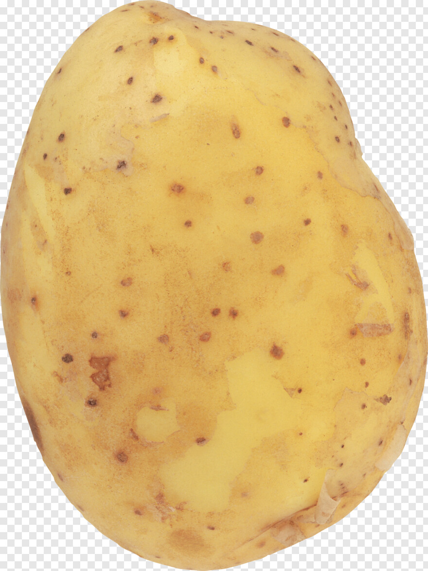 potato # 645921