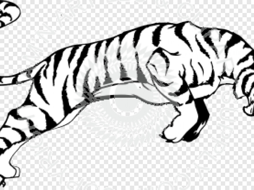 tiger-paw # 602312