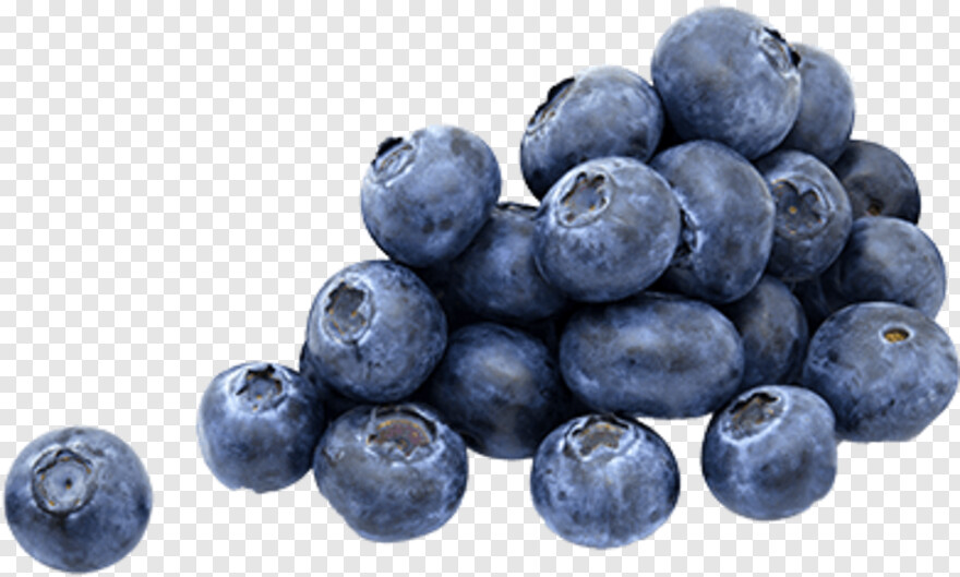 blueberry # 343771