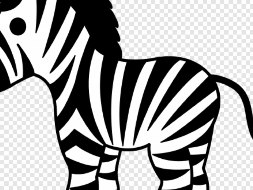 zebra # 355423
