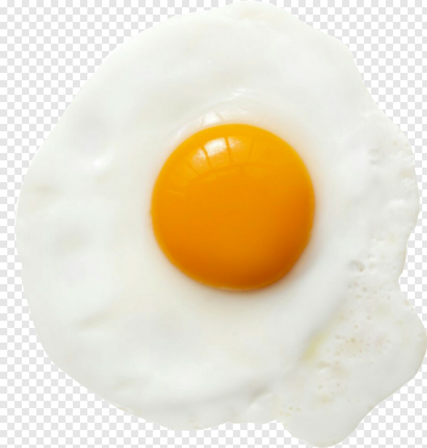 fried-egg # 932441