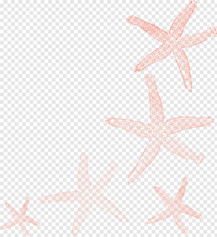 starfish # 982775