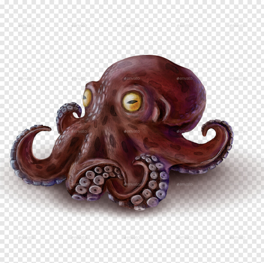 octopus # 428519