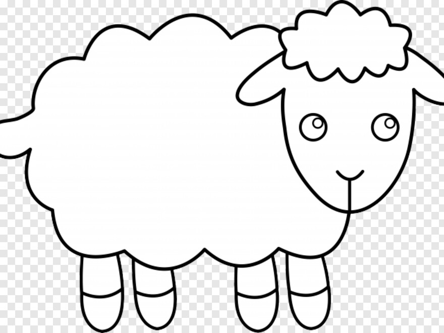 sheep # 623456