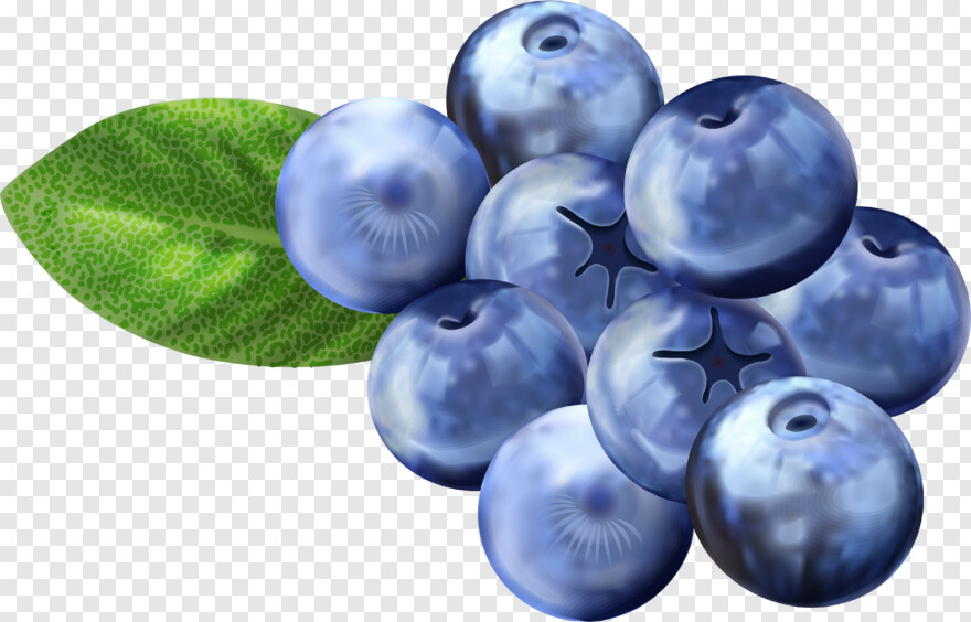 blueberry # 343865