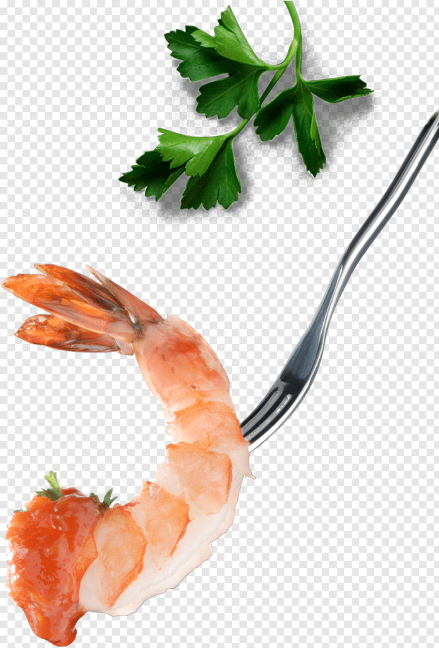 shrimp # 621693