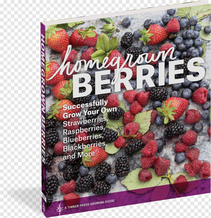 berries # 372063