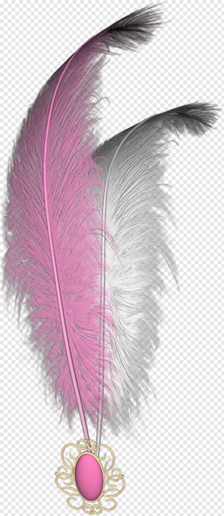 feather-silhouette # 422365