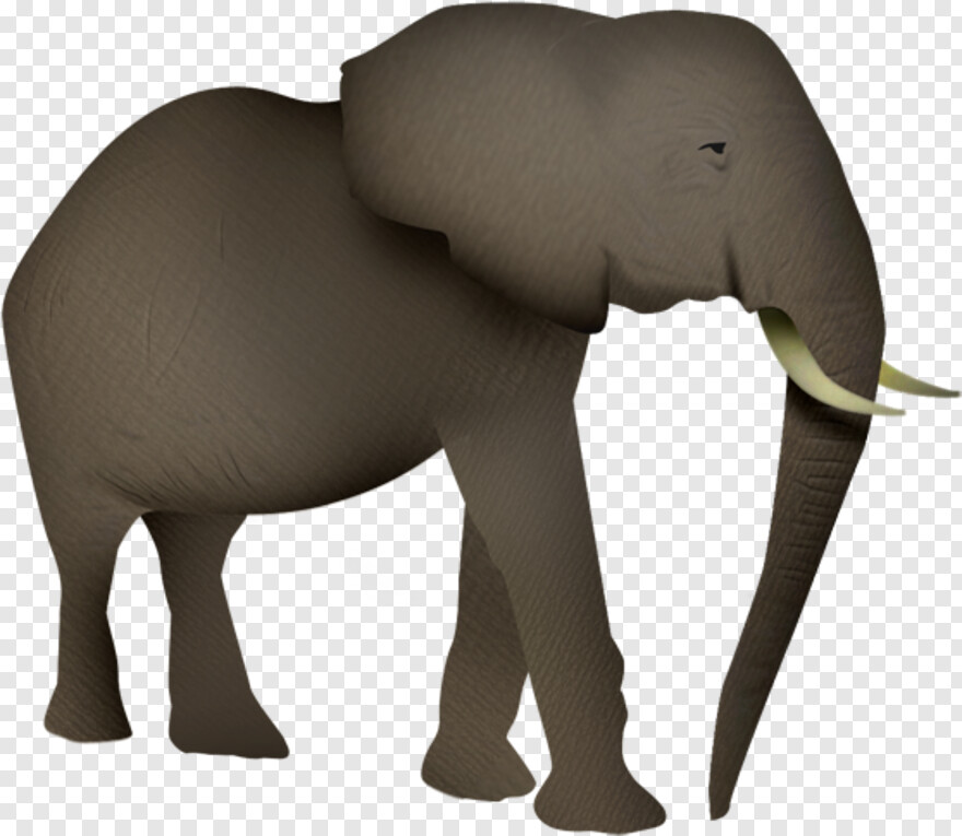 elephant # 868942