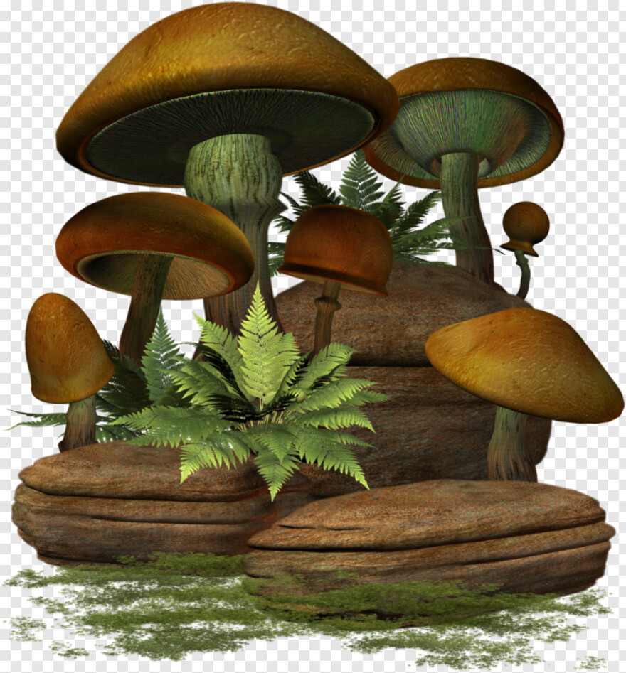 mushroom # 683476