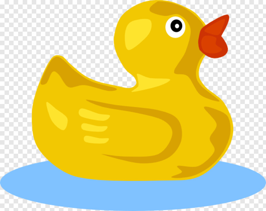 duck # 472902