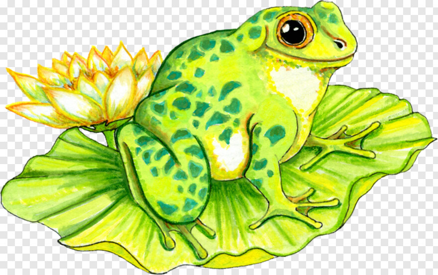 frog-clipart # 395510