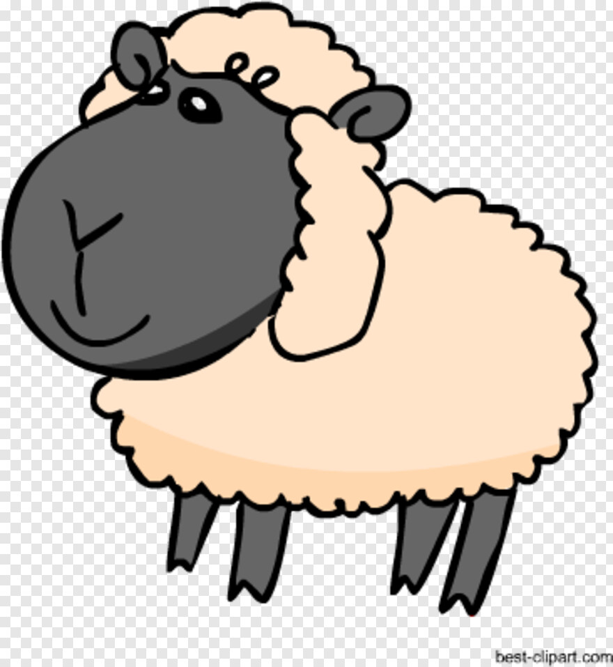 sheep # 564144