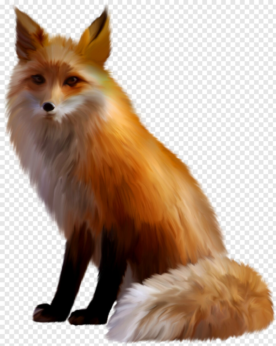 fennec-fox # 814837