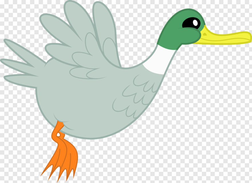 duck # 880018