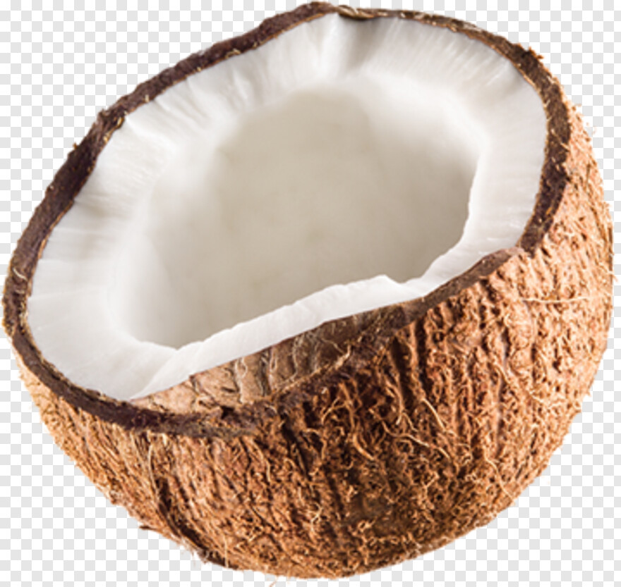 coconut # 990430