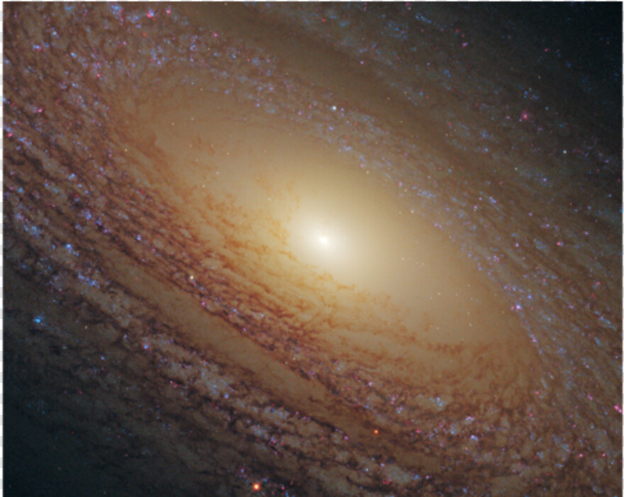 spiral-galaxy # 807084