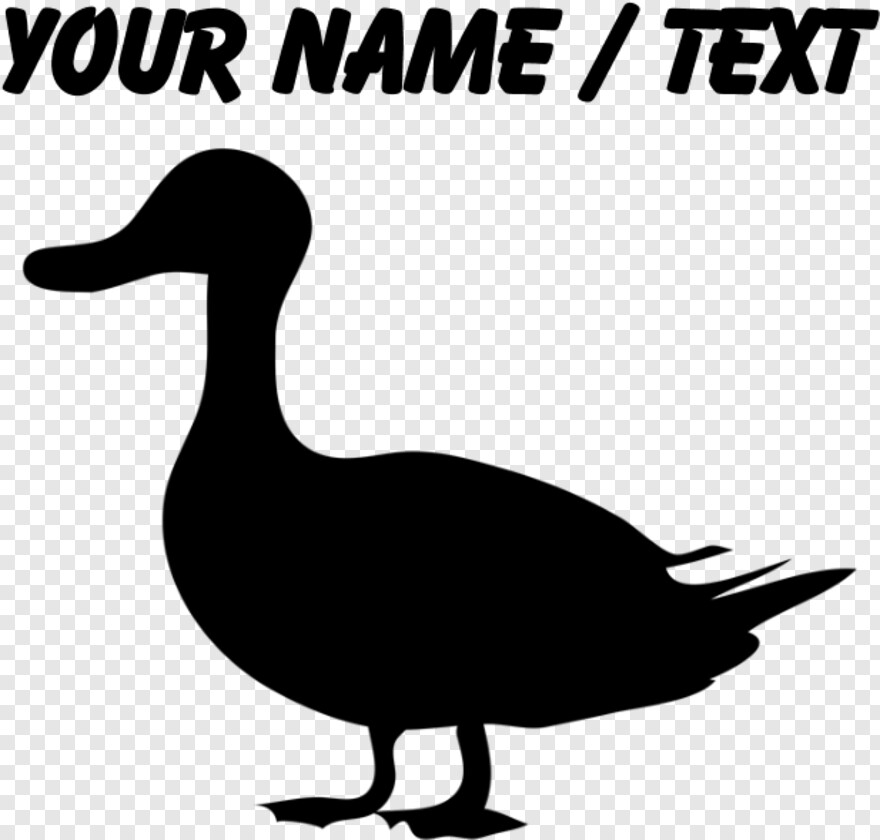 duck # 453864