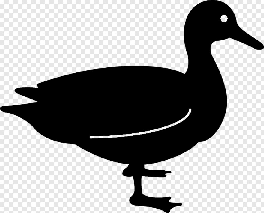daffy-duck # 978952