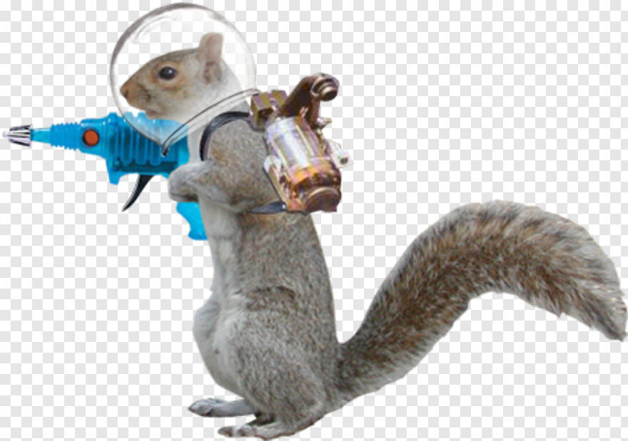 squirrel-clipart # 612821