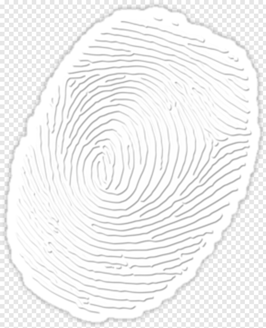 fingerprint # 834457