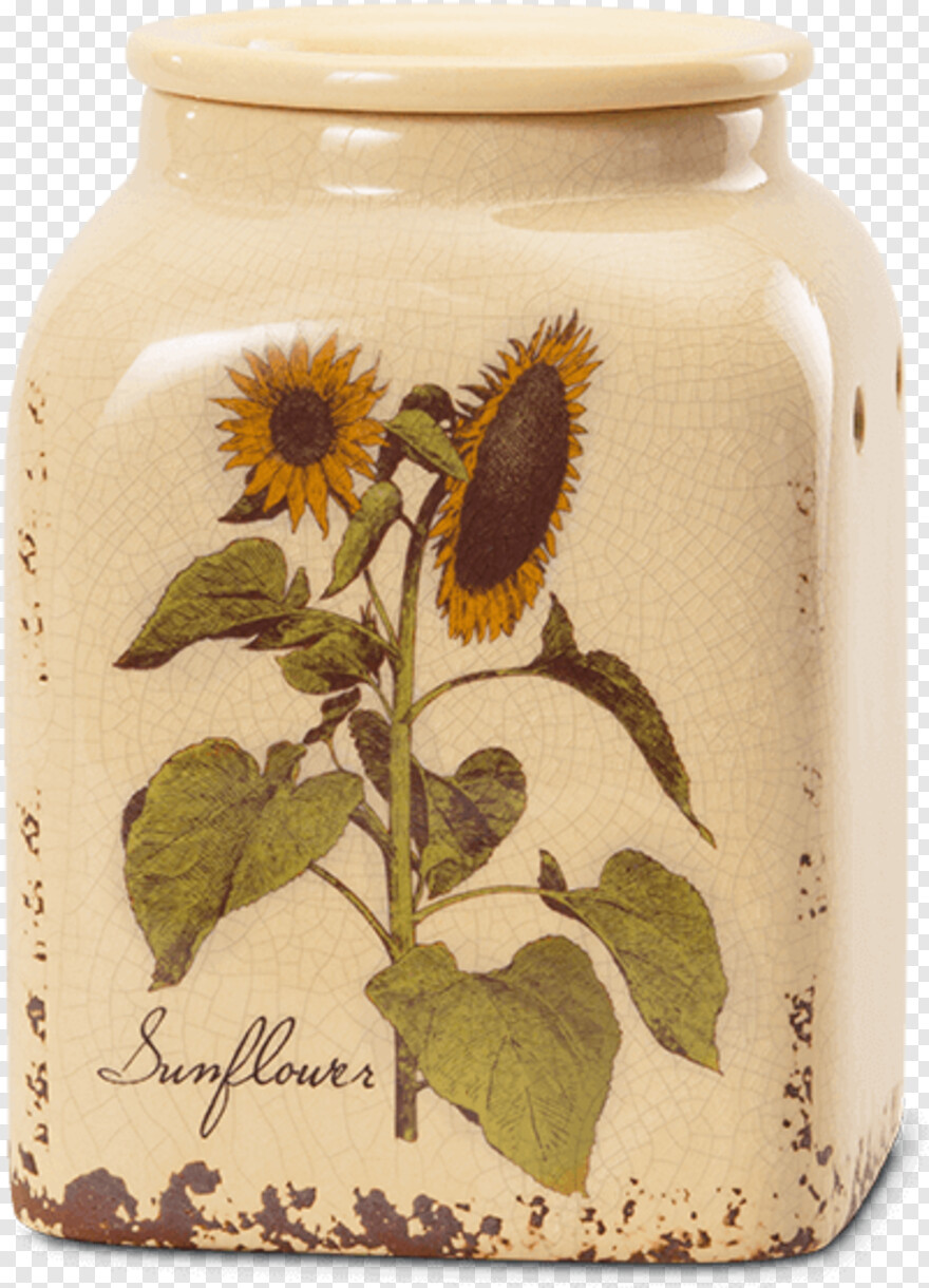 sunflower # 847135