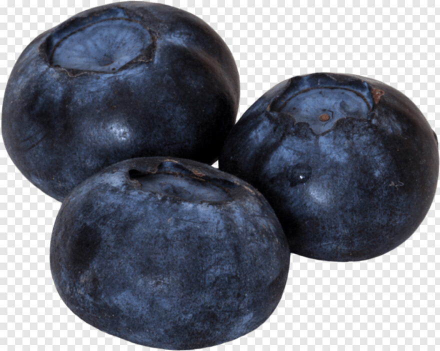 blueberry # 343735