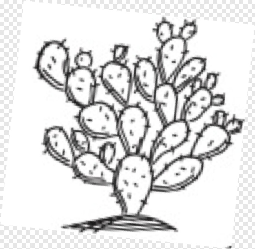 cactus # 1088892