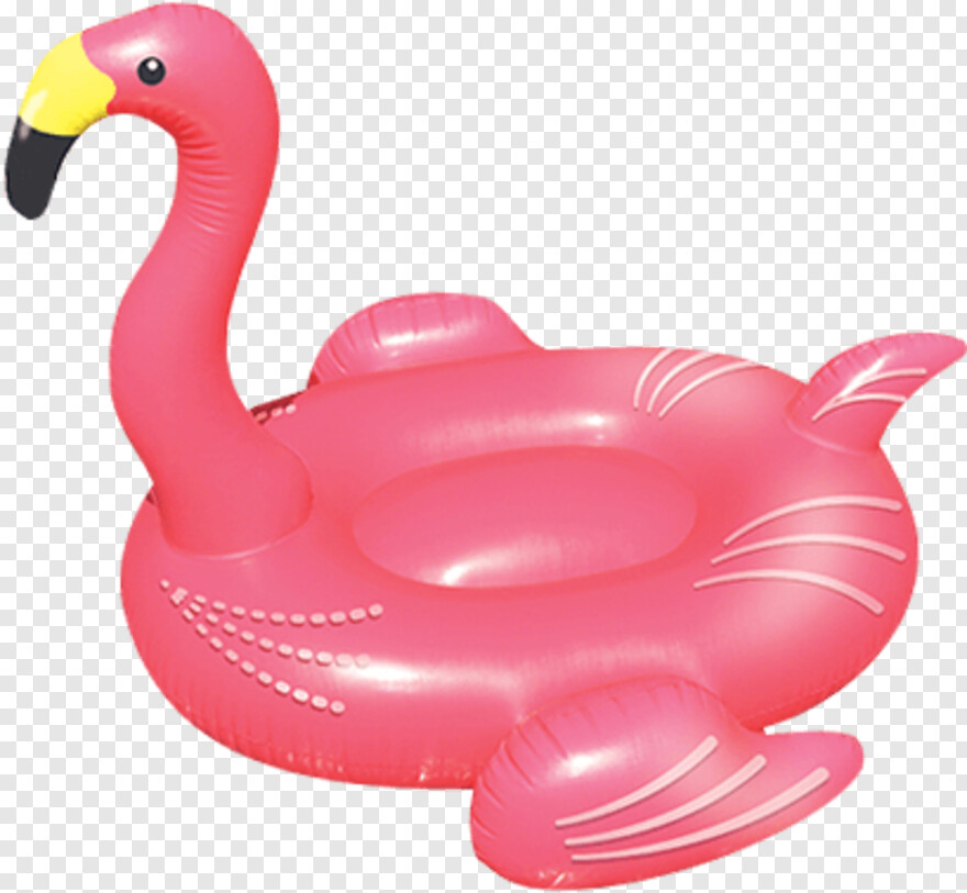 flamingo # 828731