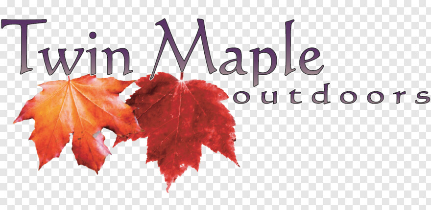 maple-leaf # 441779