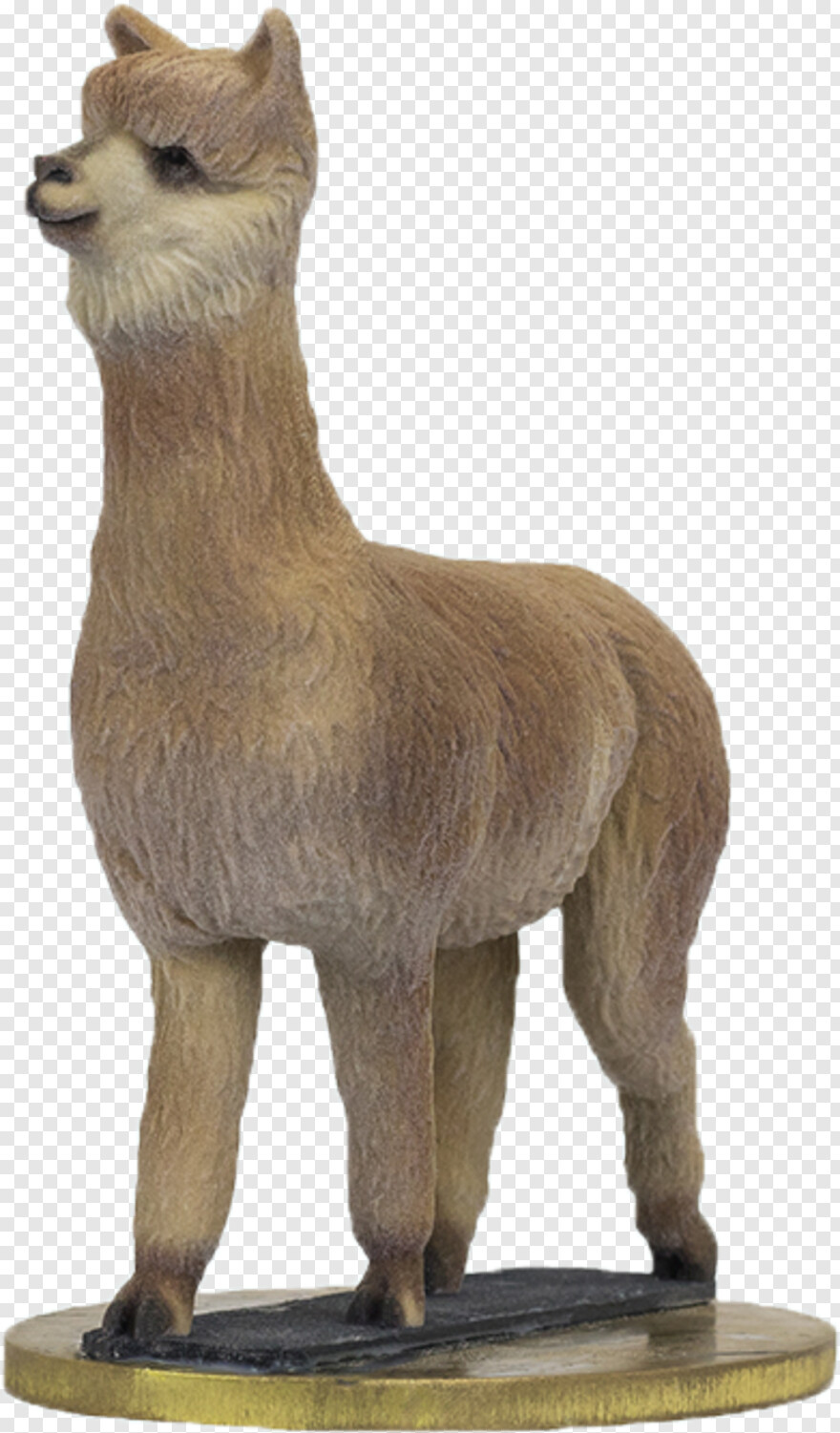 camel # 494600