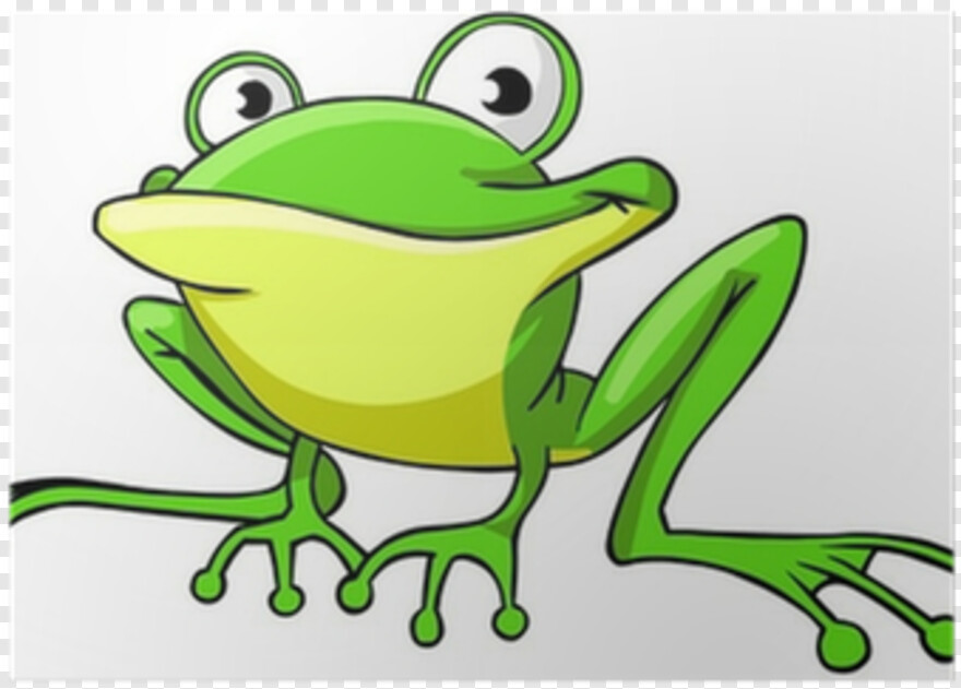 frog # 810906