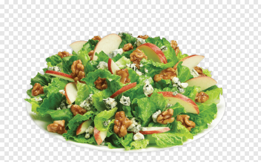 salad # 499337