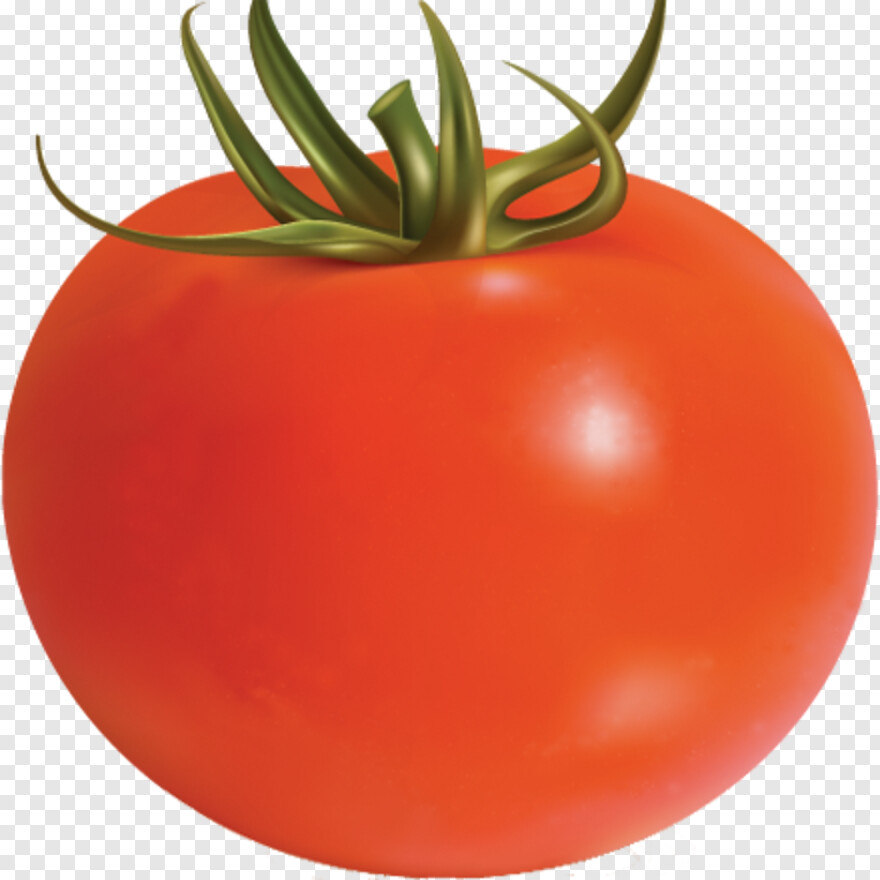 tomato # 922173