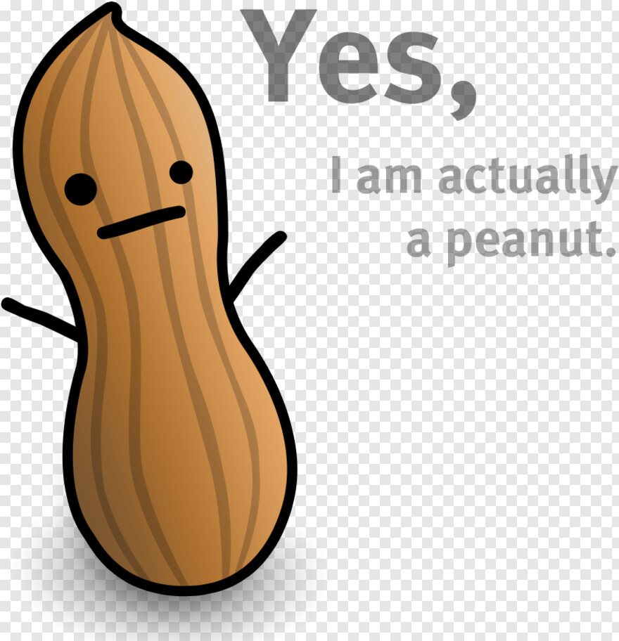 peanut # 733211