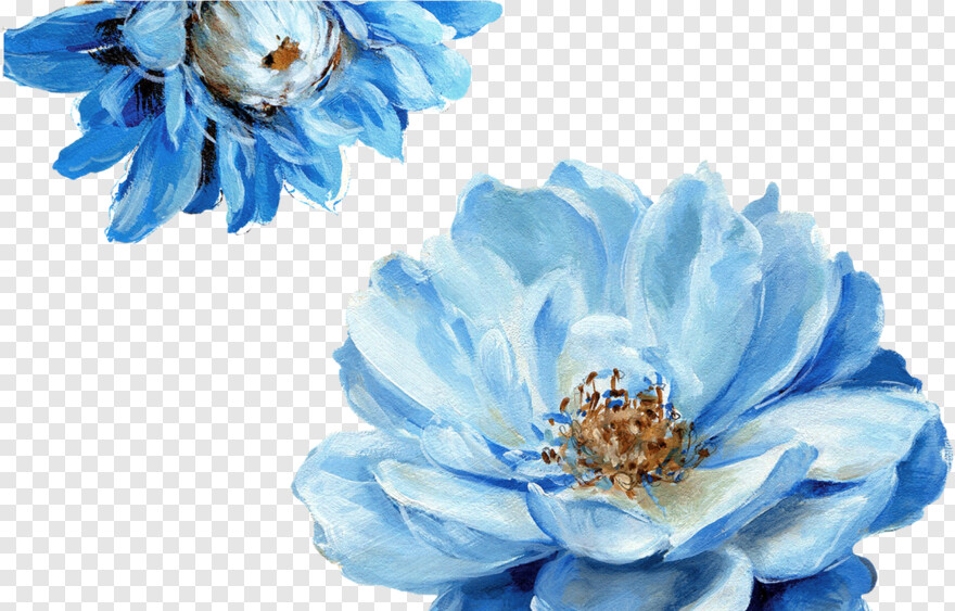 blue-flower # 446281