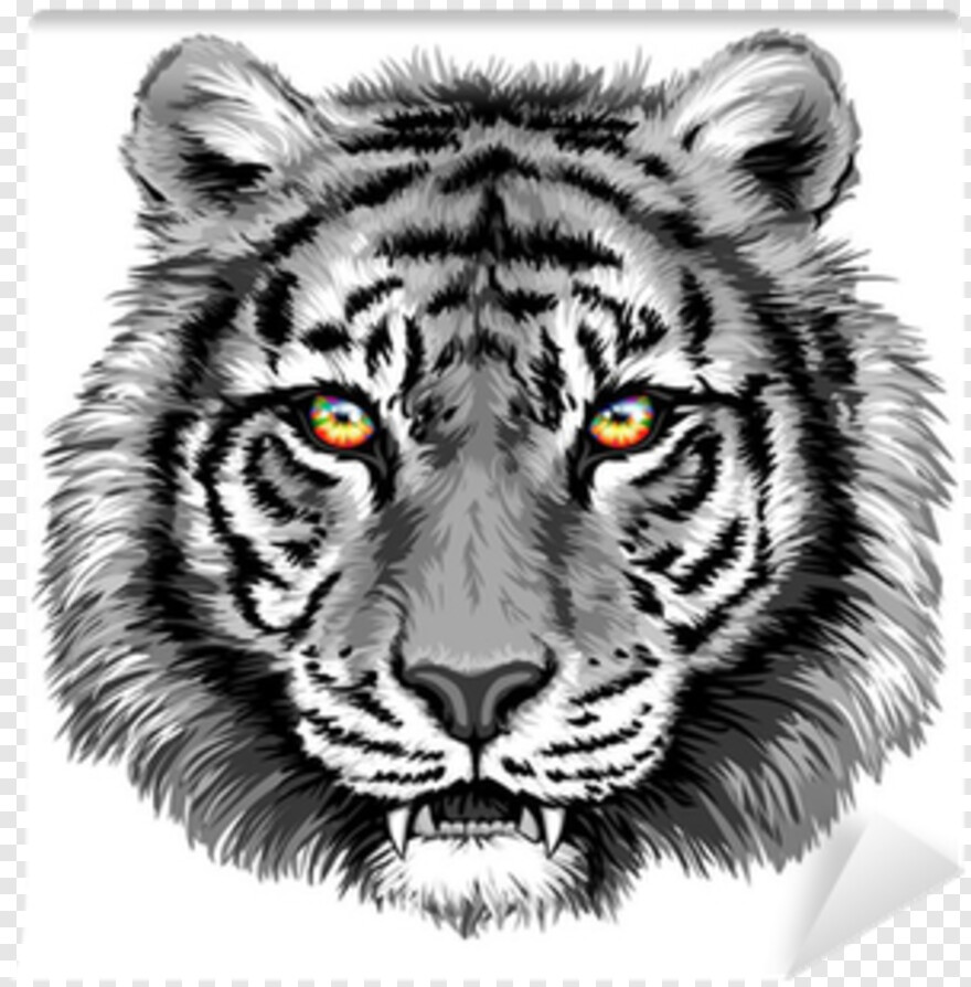 tiger # 851716