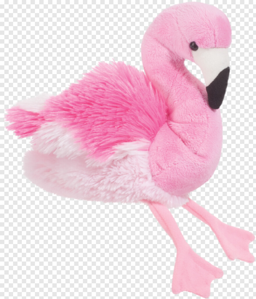 flamingo # 1074175