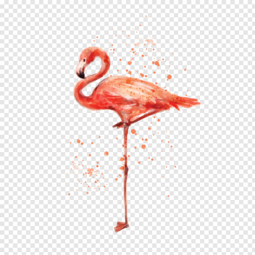 flamingo # 828741