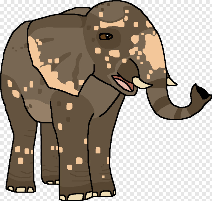 elephant # 748781