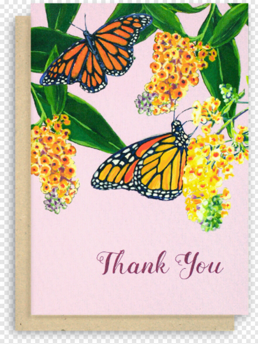 monarch-butterfly # 1097025