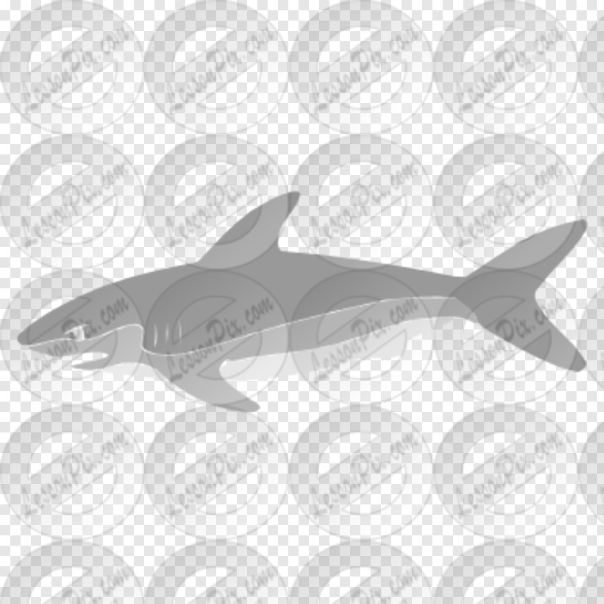 bape-shark # 666710