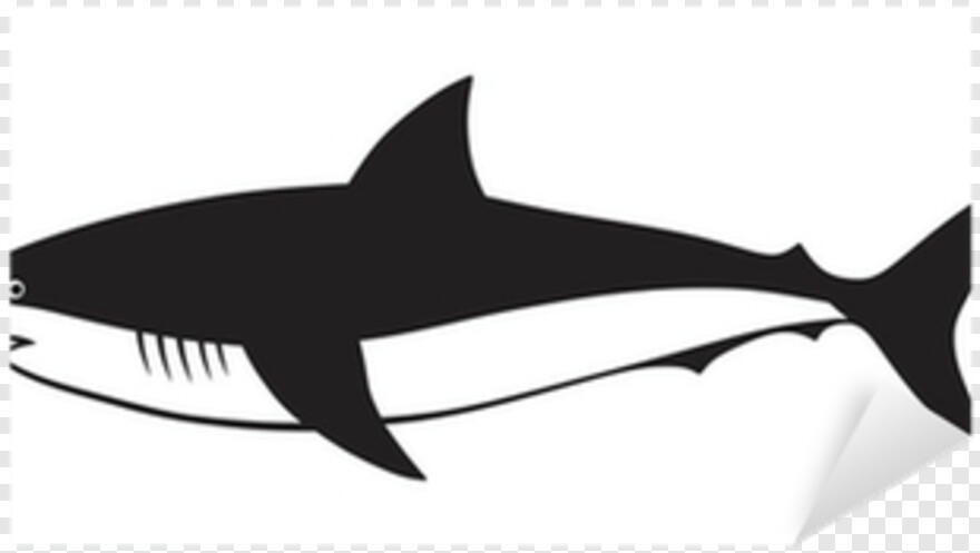 whale-shark # 1036780
