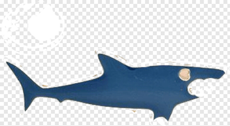 whale-shark # 654447
