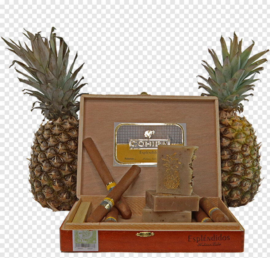pineapple # 1014882