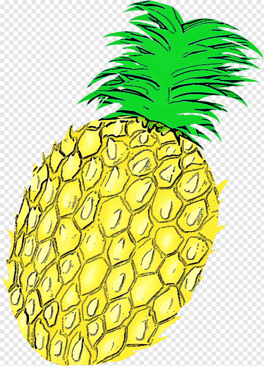 pineapple # 654157