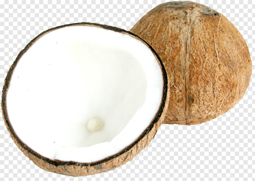 coconut # 990241