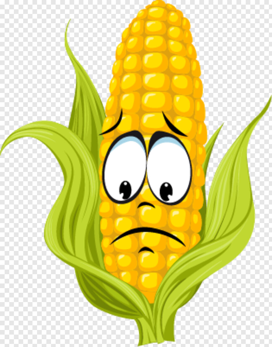 sweet-corn # 956525