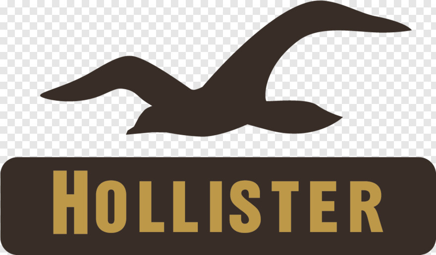 hollister-logo # 761230